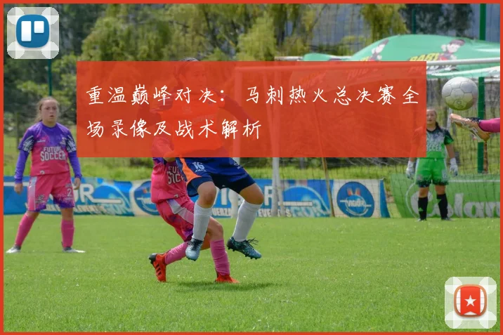 重温巅峰对决：马刺热火总决赛全场录像及战术解析