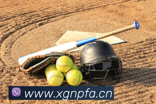 半岛在线登录入口APP 封面图